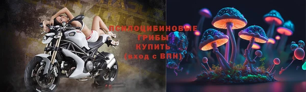 СК Вяземский