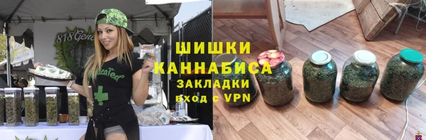 СК Вяземский