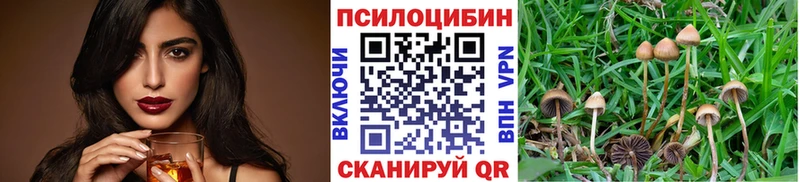 где найти наркотики  Таганрог  Псилоцибиновые грибы Psilocybe 
